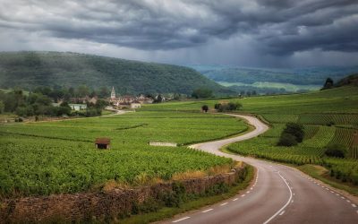 Een zomer vol taal, avontuur en nieuwe ontmoetingen