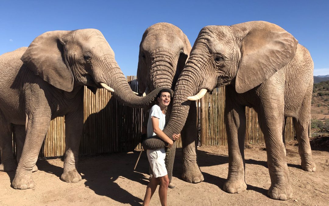 Van Safari tot Garden Route: De mooiste trips tijdens je uitwisseling in Zuid-Afrika