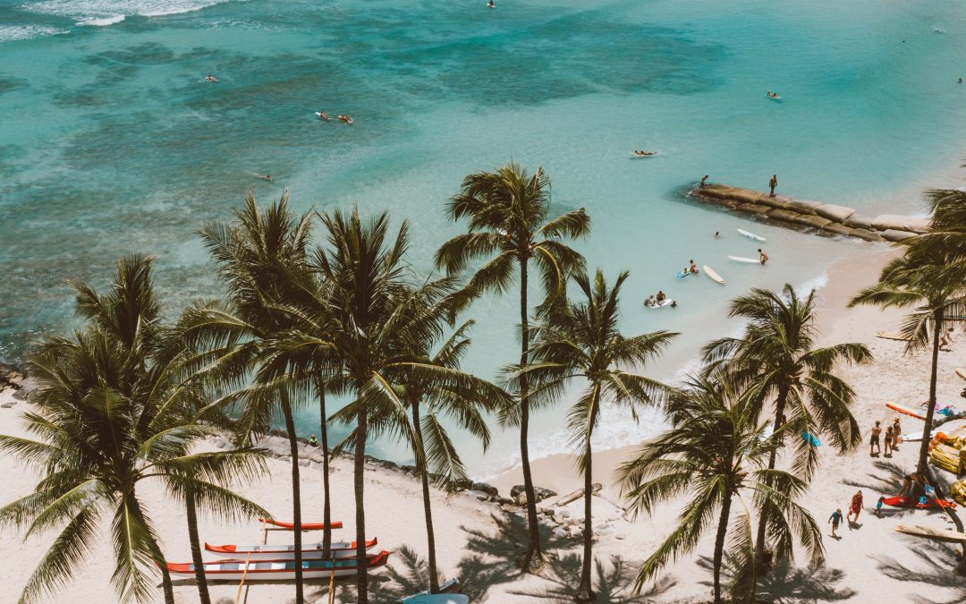 Ontdek het paradijs: jouw ultieme Hawaii avontuur tijdens je uitwisseling!