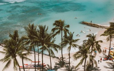 Ontdek het paradijs: jouw ultieme Hawaii avontuur tijdens je uitwisseling!